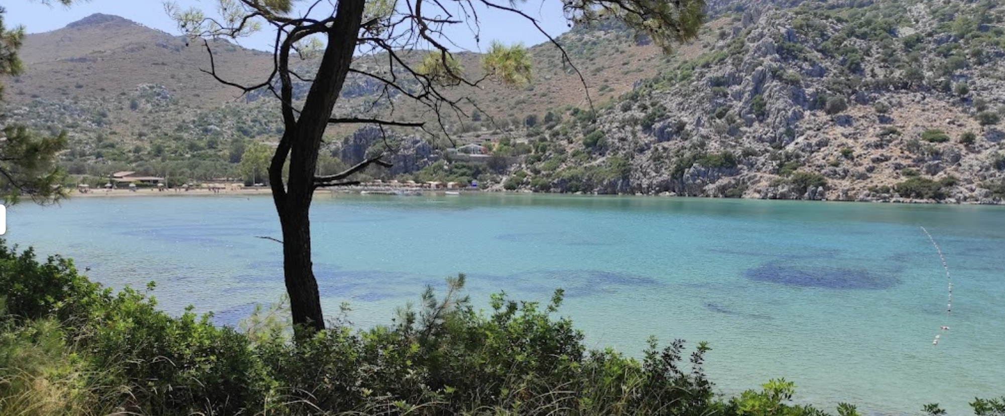 Gallery Thumbnail 12